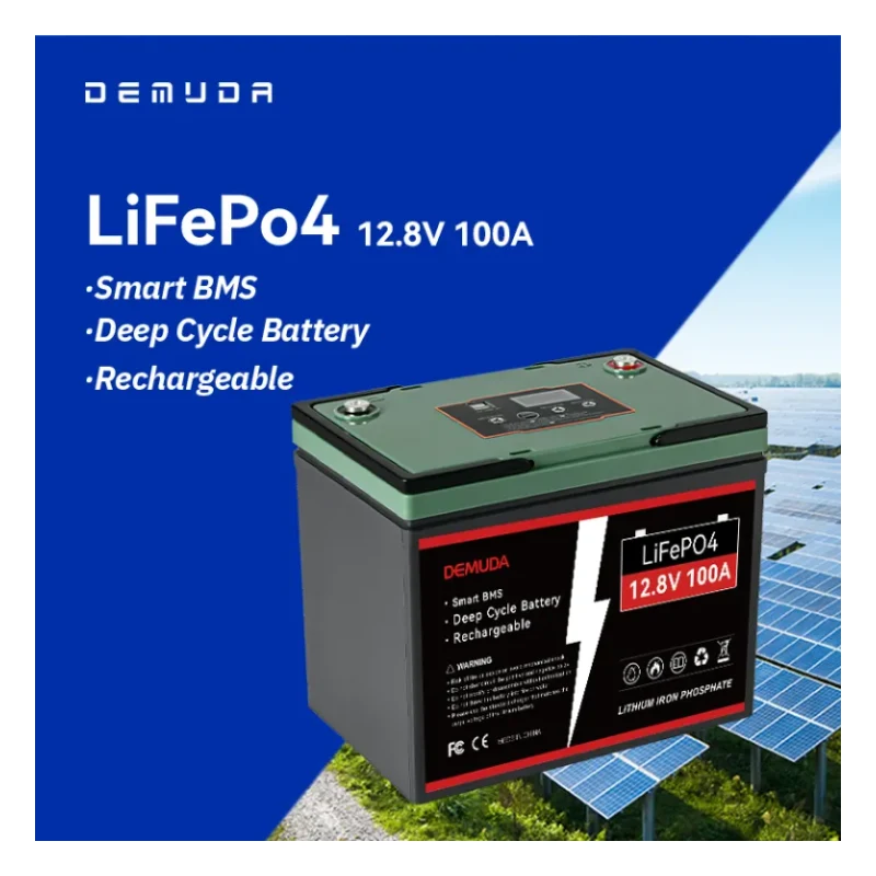 Аккумулятор LiFePO4 12V 100Ah 1,28 kWh Demuda (JG-100AH)